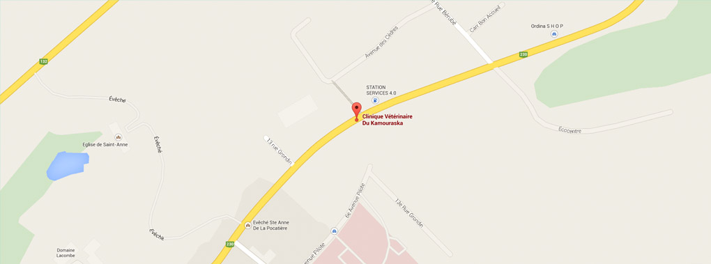 Google map de la clinique vétérinaire du Kamouraska